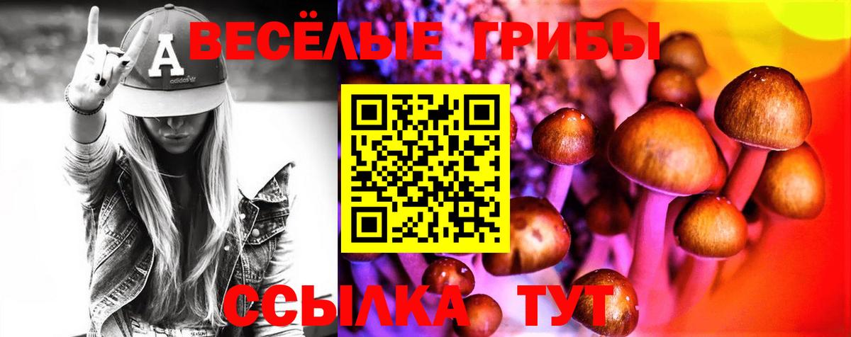 Псилоцибиновые грибы Psilocybe  где купить наркотик  Соль-Илецк  Вход с VPN 